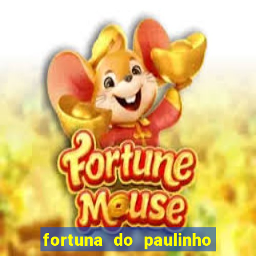 fortuna do paulinho do roupa nova